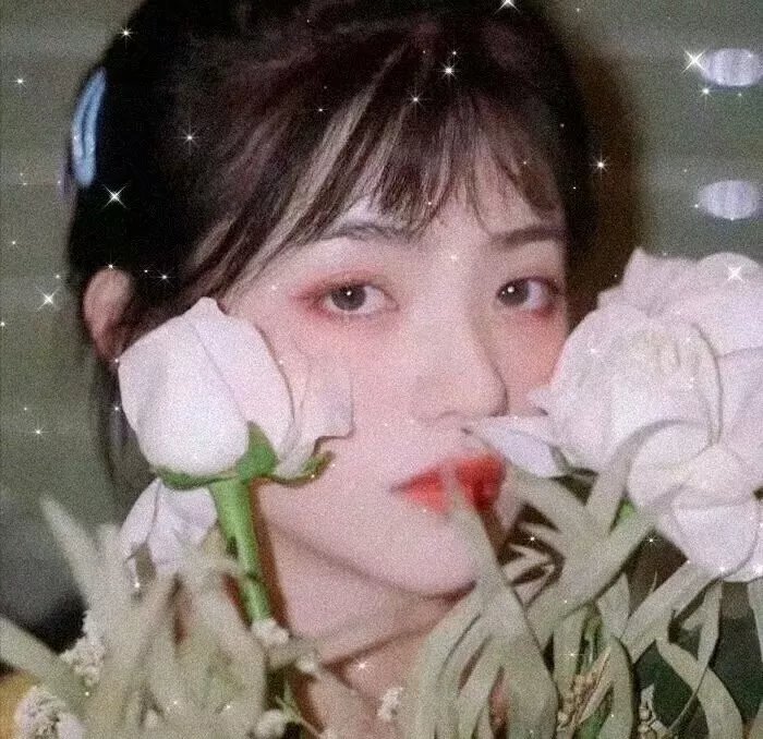 赵四小姐与张学良